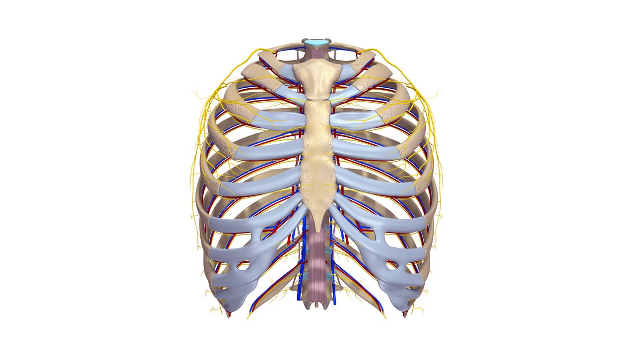 3D Printing and the Revolution in Medical Science: A Closer Look at the Prusa i3 MK3